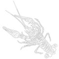 Ornate zentangle crawfish drawing