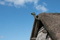 Ornately carved wooden dragon head on the roof of a viking house