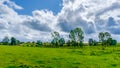 Orne Countryside 3 Royalty Free Stock Photo