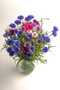 ÃÂ¡ornflowers in blue, purple, pink, burgundy, and white blooms. Summer  flower background Royalty Free Stock Photo