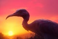 An Ornithocheirus circles through a raging pink and orange sunset.. AI generation
