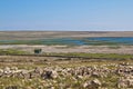 Ornithological reserve on Pag with watching tower Royalty Free Stock Photo