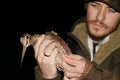 Ornithologist holding the eurasian Woodcock in hands