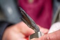 Ornithologist ringed kittiwake and attaches JPS-logger Royalty Free Stock Photo