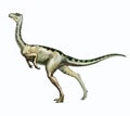 Ornithomimus, bipedal dinosaur of the Cretaceous period Royalty Free Stock Photo