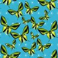 Ornithoptera paradisea, butterfly wings of a bird seamless pattern vector illustration Royalty Free Stock Photo