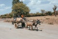 Ethiopian horse-drawn carriage on the street