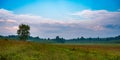 Oronoco Prarie in Summer Royalty Free Stock Photo