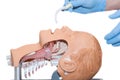 Oropharyngeal tube used to open the airway Royalty Free Stock Photo