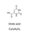 Orotic acid, mistakenly called vitamin B13, chemical formula and structure