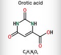 Orotic acid molecule. It is a pyrimidinedione and a carboxylic acid. Skeletal chemical formula