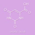 Orotic acid molecule. Skeletal formula.