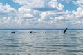 ORP Grom II wreck. Shipwreck sunk stranded on Hel peninsula