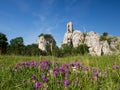 Orphan Castle - Palava Protected Landscape Area, Czech republic