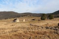 Orroral Homestead from a far Royalty Free Stock Photo