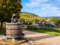 Orschwihr - wine road of Alsace, France Royalty Free Stock Photo