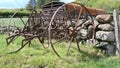 Orse Drawn Hay Rake used raking grass and crop