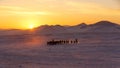 orses Running on Snow Field During the Sunrise in Inner Mongolia, China Royalty Free Stock Photo