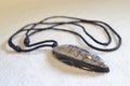 Orthoceras fossil, Polished Orthoceras (Cephalopod) Fossils.