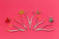 Orthodontic metal tools and dental braces or retainers, pink background