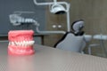 Orthodontic model and dentist tool - demonstration teeth model of varities of orthodontic bracket or brace. Metal and ceramic Royalty Free Stock Photo