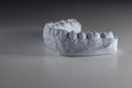 Dental health concept. Plaster copy of the jaw of a person.