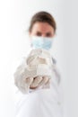 Orthodontist with plaster mold Royalty Free Stock Photo