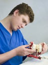 Orthodontist at work Royalty Free Stock Photo