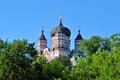 Orthodox cathedral in Feofaniya Royalty Free Stock Photo