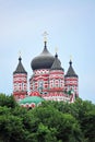 Orthodox cathedral in Feofaniya Royalty Free Stock Photo