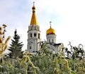 Orthodox Church between the blades of grass