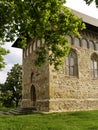 Orthodox church in Borzesti, Romania