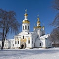 Orthodox church with golden domes, beautiful winter landscape