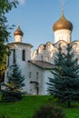 Pskov, Russia, September 6, 2023. Church of St. Basil among the fir trees.