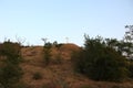 Orthodox Cross on top of the hill Royalty Free Stock Photo