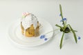 Orthodox Easter cake on a white plate with blue spring flower in a pot side view at an angle on the table Royalty Free Stock Photo