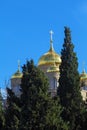 Orthodox Gorny ÃÂ¡onvent, Ein Kerem, Jerusalem