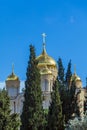 Orthodox Gorny ÃÂ¡onvent, Ein Kerem, Jerusalem