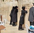 Orthodox hassidic religious jews dressed in black traditional outfit pray at the wailing wall