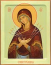 Orthodox icon of the Mother of God