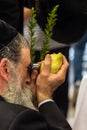 Orthodox Jew checks etrog