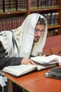 Orthodox learns Torah