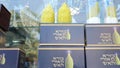 Sukkot in Jerusalem. Etrog & Lulav Rabbi