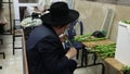 Sukkot in Jerusalem. Etrog & Lulav & adasa Rabbi