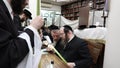 Sukkot in Jerusalem. Etrog & Lulav Rabbi