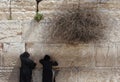 Orthodox Jewish Man prays at the western wall