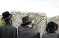 Jews, jewish, judaism, hasidim,prayer, back, behind Royalty Free Stock Photo