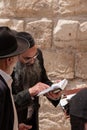 Orthodox Jews pray at Western Wall, Jerusalem Royalty Free Stock Photo