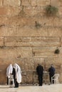 Orthodox Jews praying at the west wall Royalty Free Stock Photo