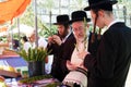 Orthodox Jews preparing for Sukkoth Royalty Free Stock Photo